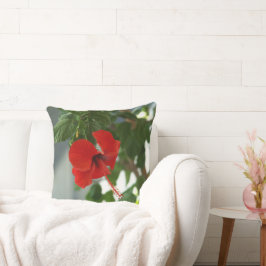 fotografiqqq schöne rote Blume Kissen