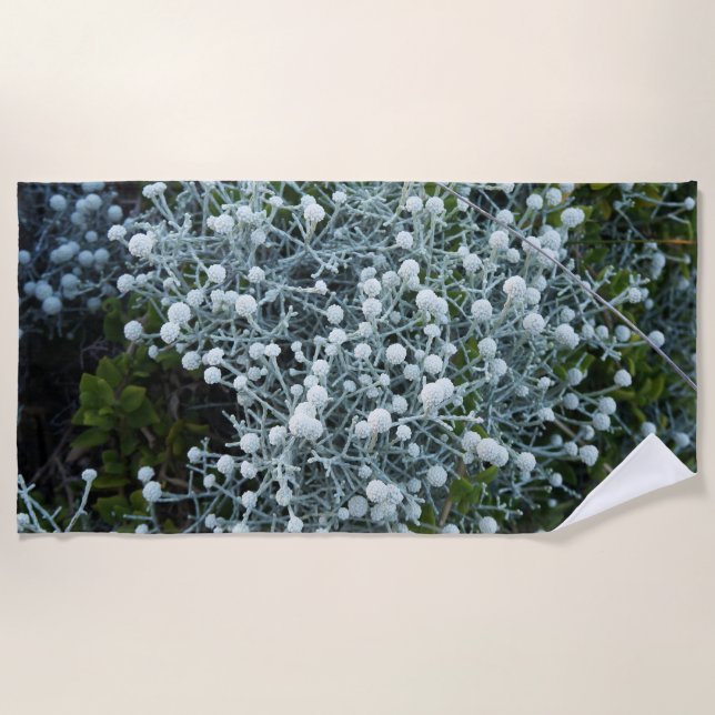 fotografiqqq uniqe beach towel strandtuch (Vorderseite)