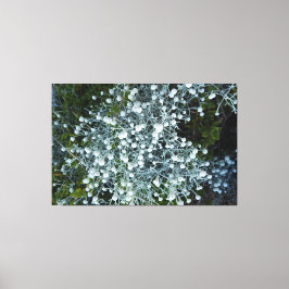 fotografiqqq wall art decor leinwanddruck