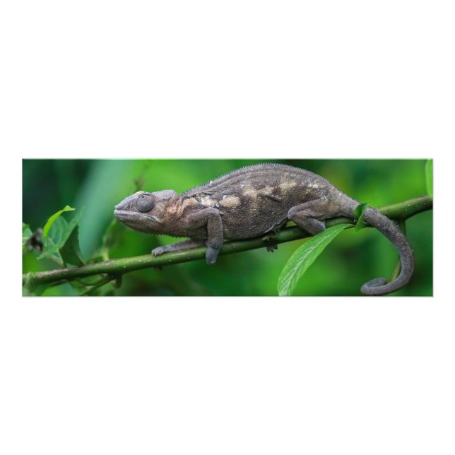 Fotografische Vergrößerung Fotodruck (Vorne)