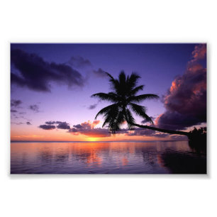 Fotografischer Druck - Tropischer Sonnenuntergang