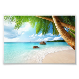 Fotografischer Druck - Tropischer Strand Foto Druc