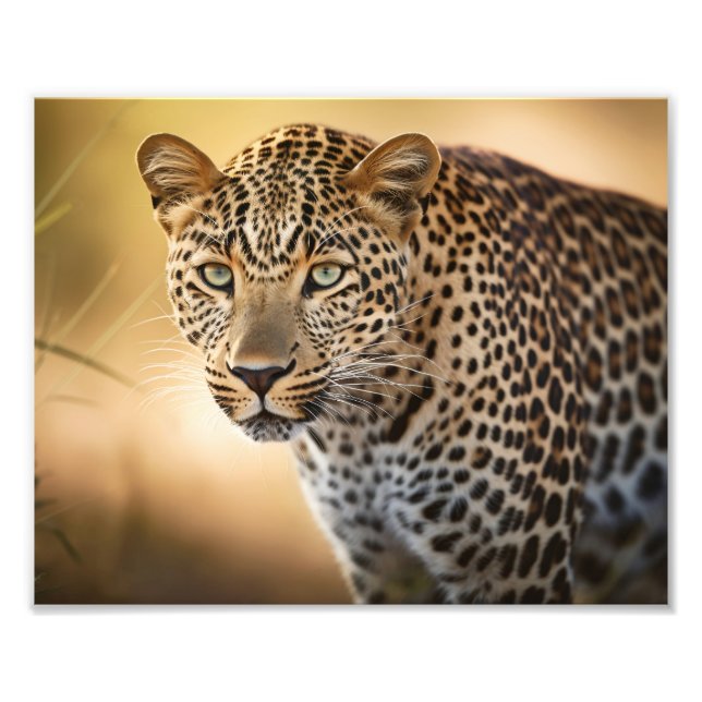 Fotografischer Druckleopard Fotodruck (Vorne)