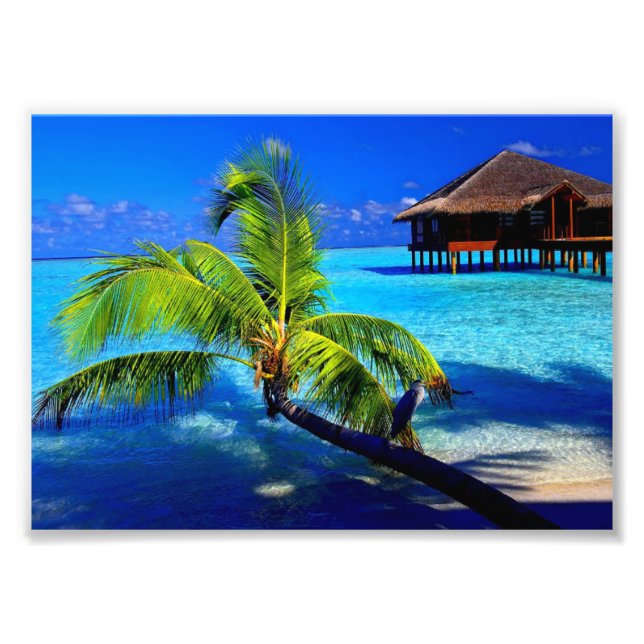 Fotografischer, tropischer Strand Fotodruck (Vorne)