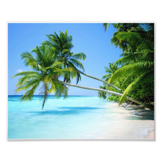 Fotografischer, tropischer Strand Fotodruck (Vorne)