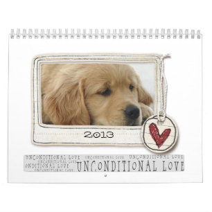Fotohundekalender 2013 kalender