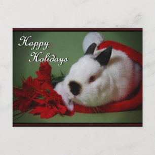 Fotokarte "Bunny Christmas" Feiertagspostkarte
