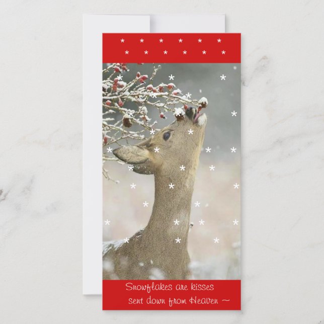 Fotokarte Feiertagskarte (Vorderseite)