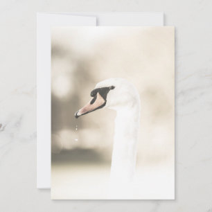 Fotokarte für Weißschwan-Natur Save The Date