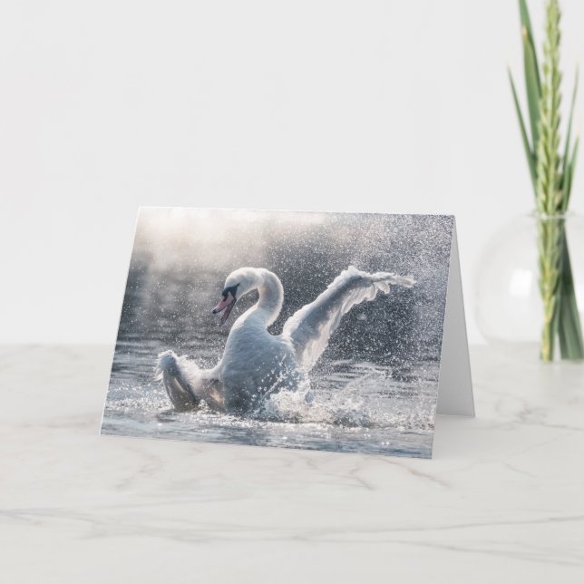Fotokarte Swan Nature Karte (Vorderseite)