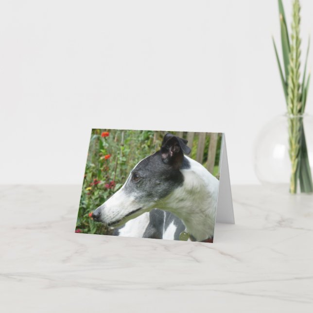 Fotokarte von Windhunden (p5) Karte (Vorderseite)