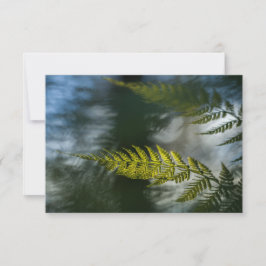 Fotokarten für die Natur