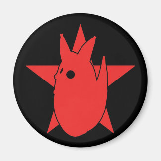 FOTOKOLUSMAGNET MAGNET