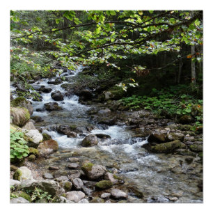 Fotoposter Am Fluss Poster