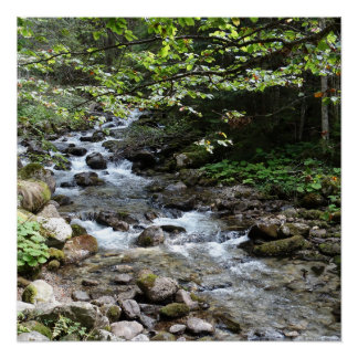 Fotoposter Am Fluss Poster