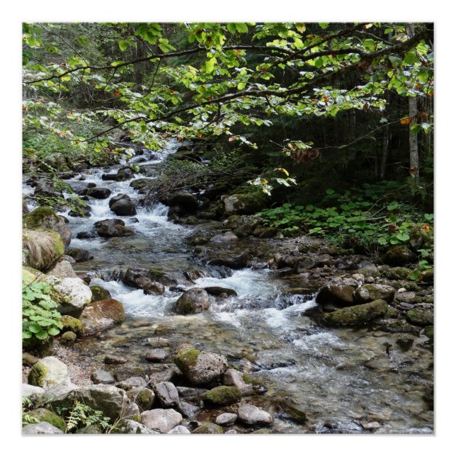 Fotoposter Am Fluss Poster (Vorderseite)