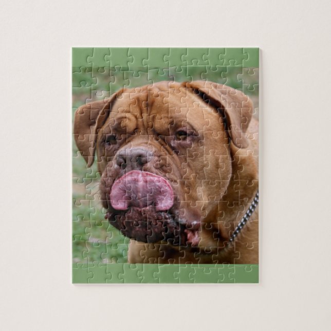Fotopuzzlespiel Dogue de Bordeaux 8x10 Puzzle (Vertikal)