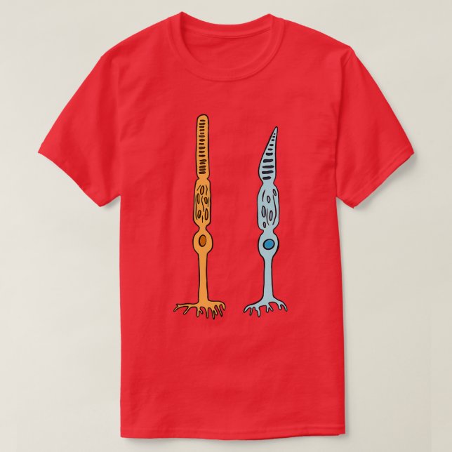 Fotoreceptors Rods And Cones Eyes  T-Shirt (Design vorne)