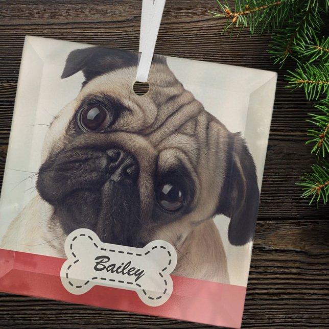 Fotos auf dem Niedlichen Dog-Knochen-Namen hinzufü Ornament Aus Glas (Von Creator hochgeladen)