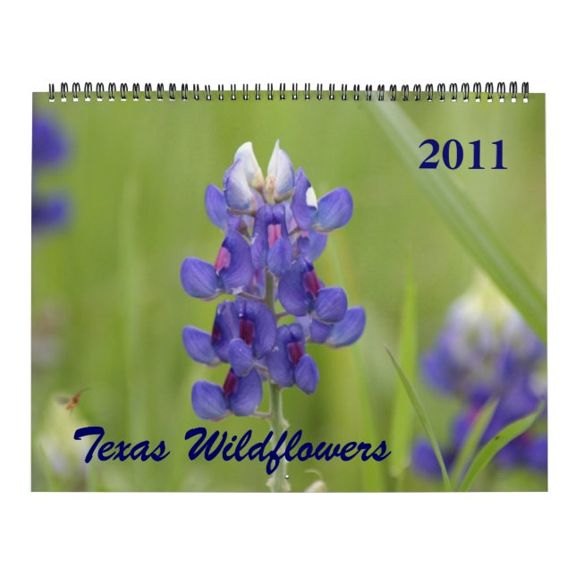 Fotos der Wildblumen Nordtexas Kalender (Titelbild)