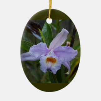 Fotos Keramik Ornament