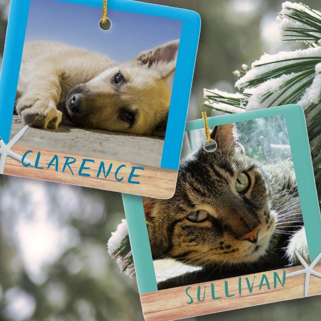 Fotos mit doppelseitiger Haustiere Starfish Kerami Keramikornament (Von Creator hochgeladen)