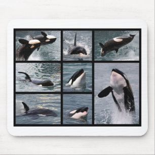 Fotos mit mehreren tödlichen Walen Mousepad