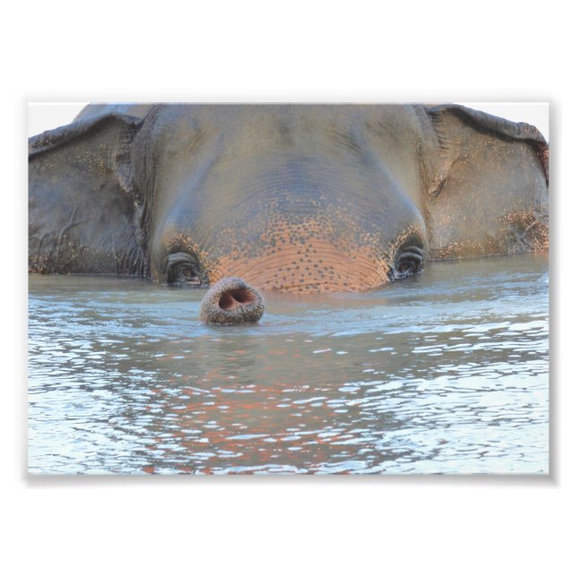 Fotos: Naturfotografie und Naturfotografie Fotodruck (Vorne)