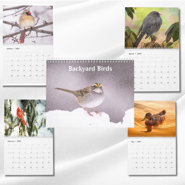 Fotos und Kunst im Hinterhof Kalender (Von Creator hochgeladen)