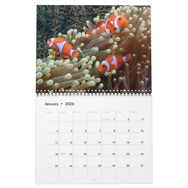 Fotos unter Wasser 2015 Kalender (Jan 2026)