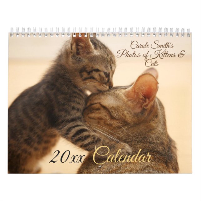 Fotos von Katzen & Kätzchen 20XX Kalender (Titelbild)