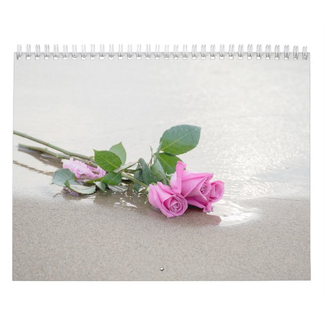 Fotosammlung Kalender (Titelbild)