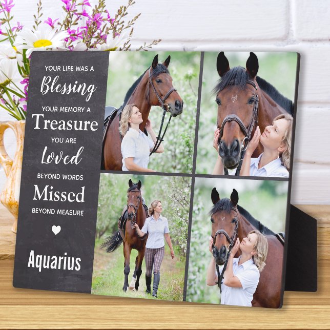 Fotosammlung zu Pferden Fotoplatte (Von Creator hochgeladen)