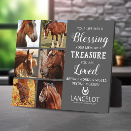 Fotosammlung zu Pferden Fotoplatte