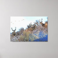 Fotoshop Art