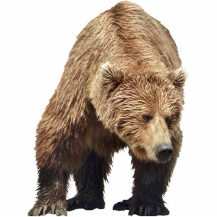 Fotoskulptur des Grizzlybären