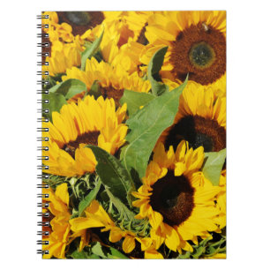Fotospiralblock gelbe Sonnenblumen Notizblock