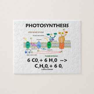 Fotosynthese (chemische Formel lichtabhängig) Puzzle