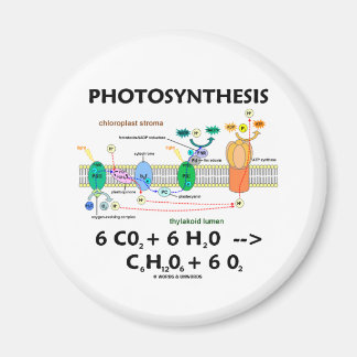 Fotosynthese (Chemische Formel) Magnet