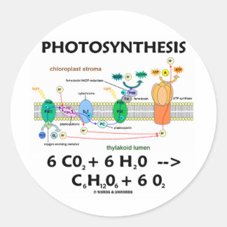 Fotosynthese (Chemische Formel) Runder Aufkleber