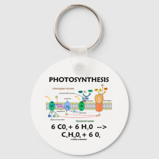 Fotosynthese (Chemische Formel) Schlüsselanhänger