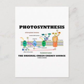 Fotosynthese der ursprünglichen grünen Energiequel Postkarte