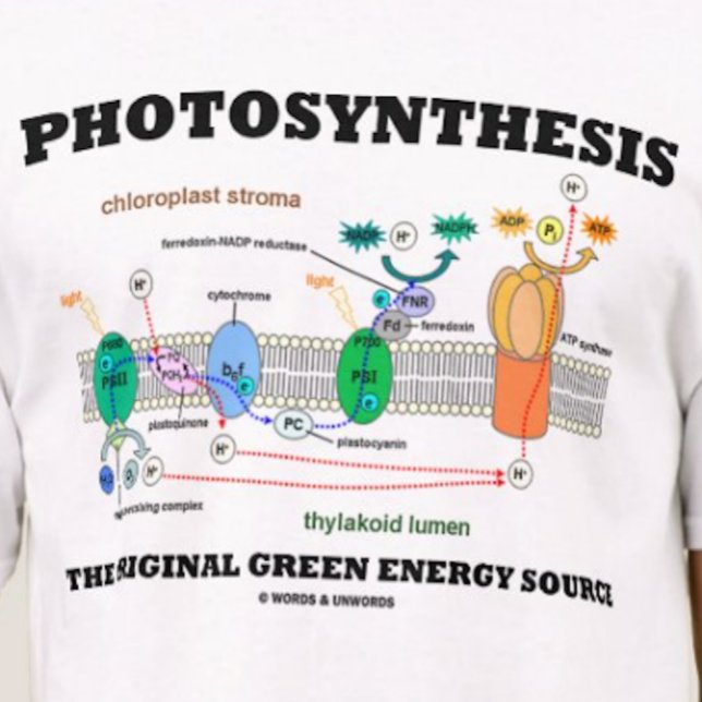Fotosynthese der ursprünglichen grünen Energiequel T-Shirt (Tee featuring light-dependent reactions of photosynthesis)
