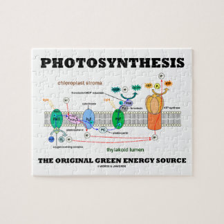 Fotosynthese die ursprüngliche grüne puzzle