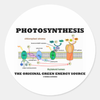 Fotosynthese die ursprüngliche grüne runder aufkleber
