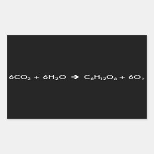 Fotosynthese-Gleichung Rechteckiger Aufkleber
