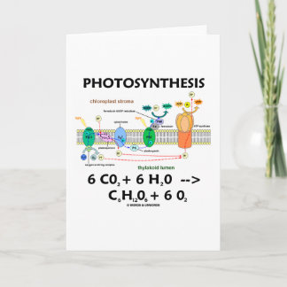 Fotosynthese (Kohlendioxid + Wasser) Karte