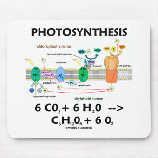 Fotosynthese (Kohlendioxid + Wasser) Mousepad