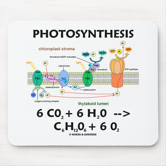 Fotosynthese (Kohlendioxid + Wasser) Mousepad (Vorne)