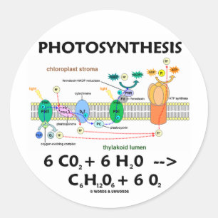 Fotosynthese (Kohlendioxyd + Wasser) Runder Aufkleber